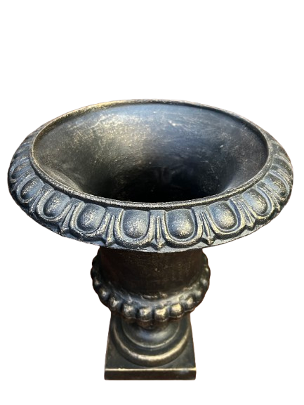 MEDICIS BRONZE FONTE