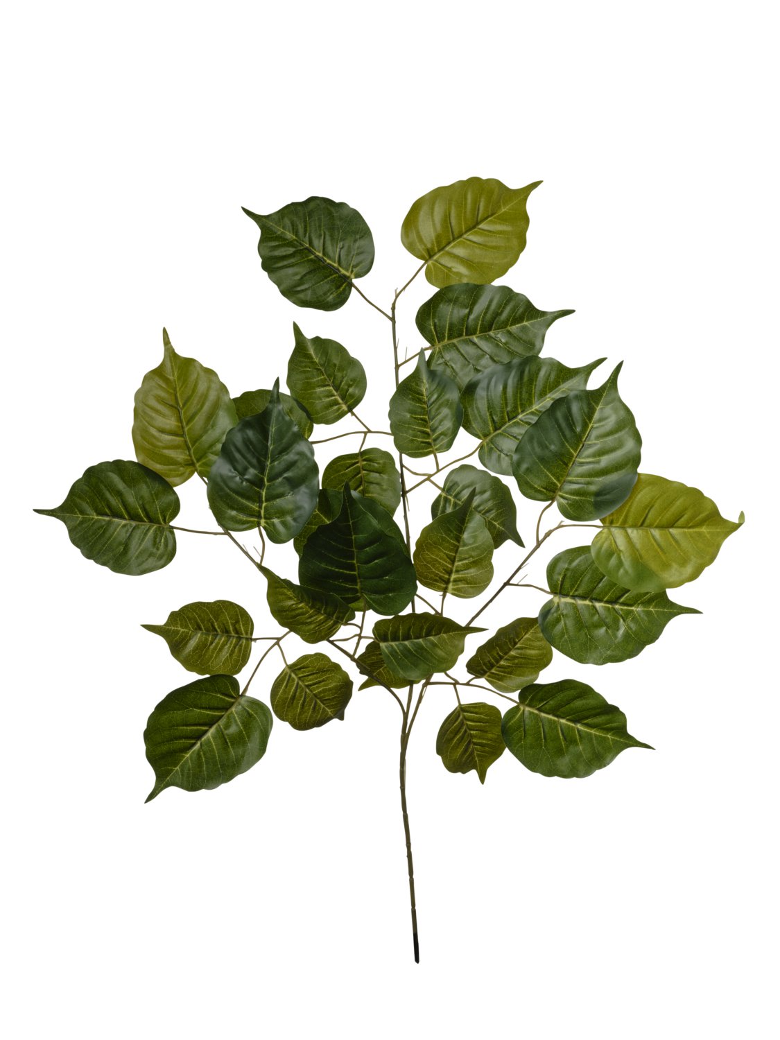 BRANCHE DE 12 FEUILLES KIWI