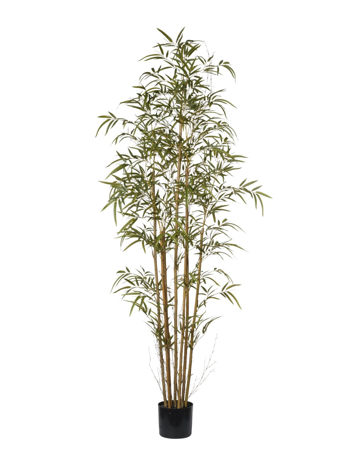 BAMBOU 192CM