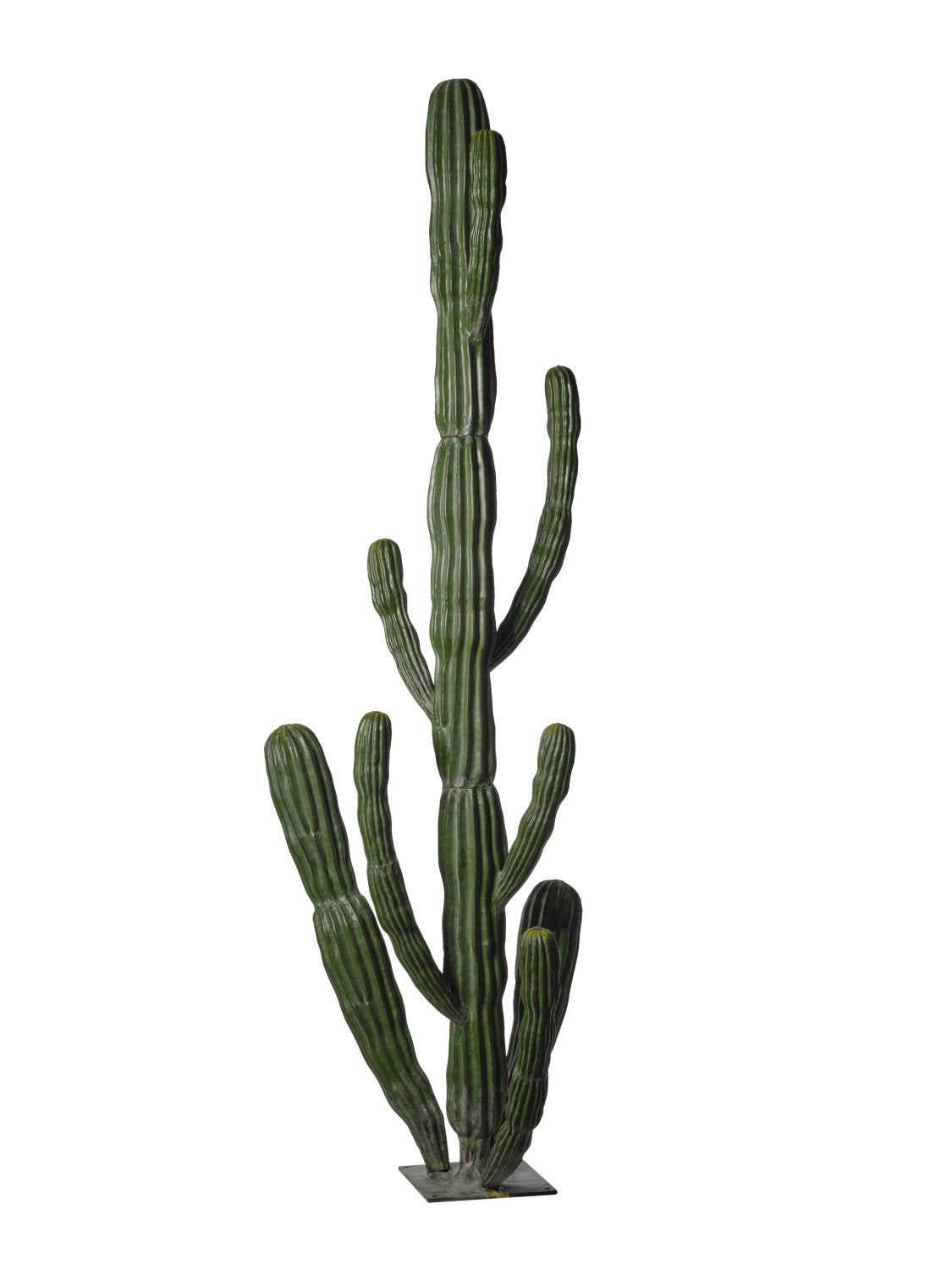 CACTUS LARGE