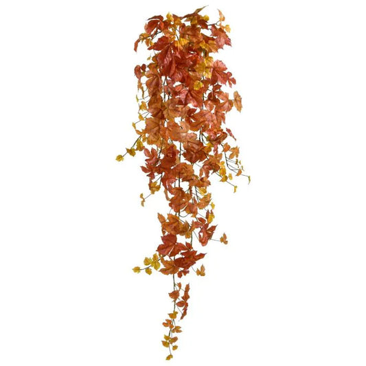 LIERRE D'AUTOMNE RETOMBANT
