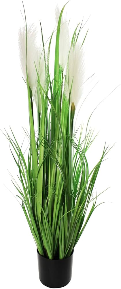 PAMPAS