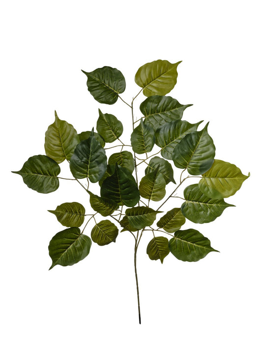 BRANCHE DE 12 FEUILLES KIWI