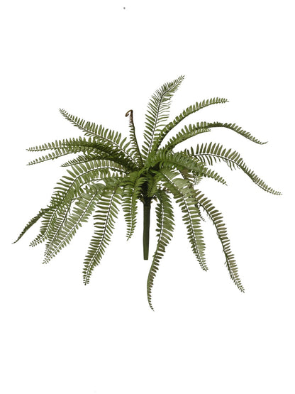 BOUQUET DE FOUGÈRE
