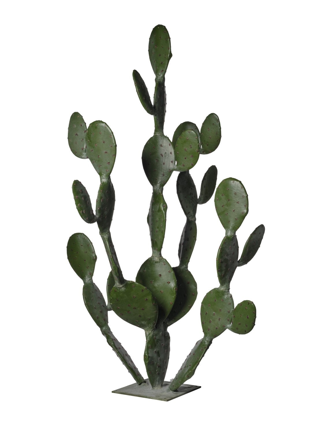 CACTUS PLAT