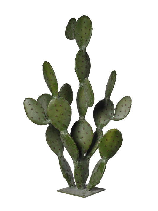 CACTUS PLAT