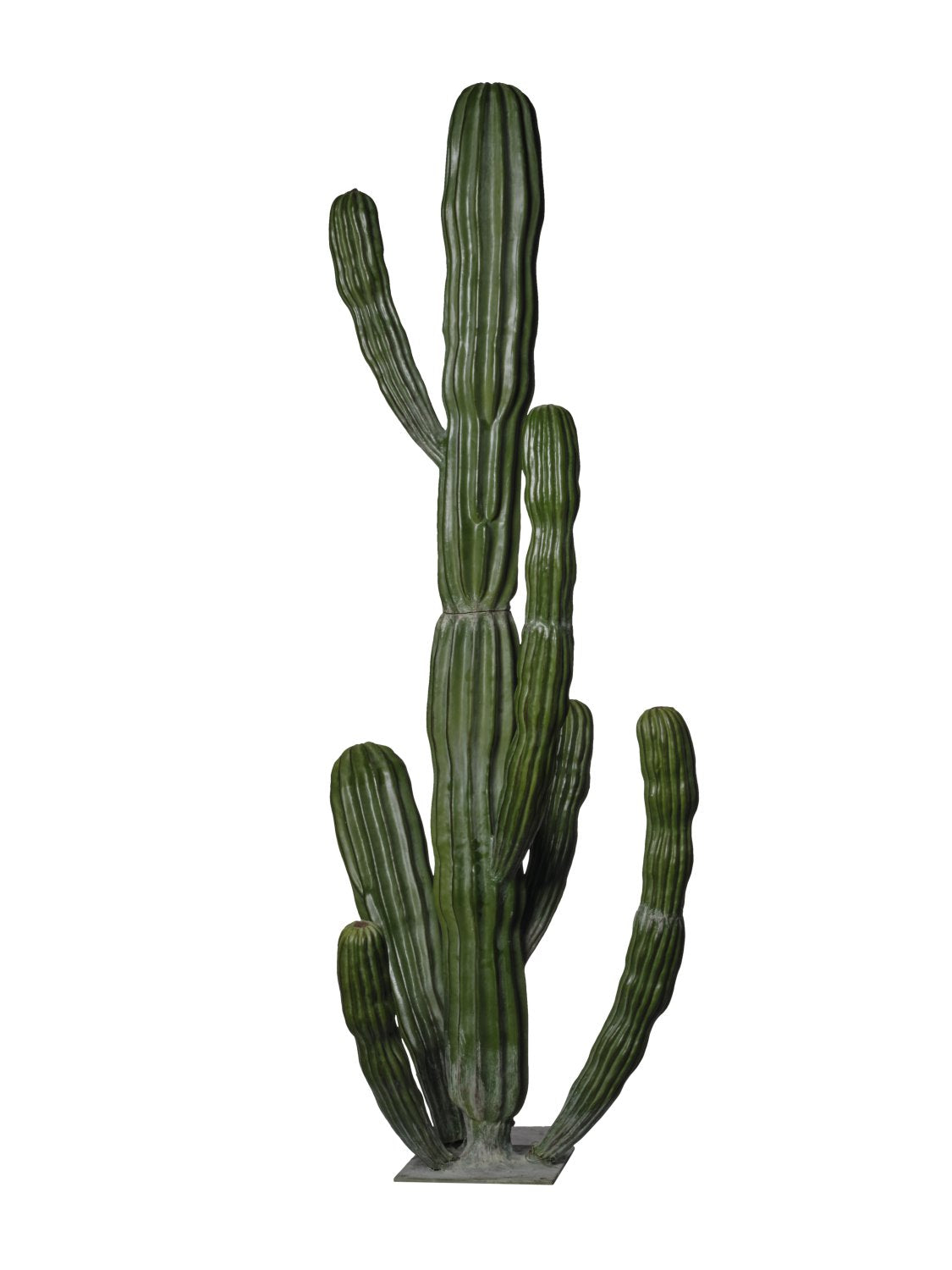 CACTUS LARGE