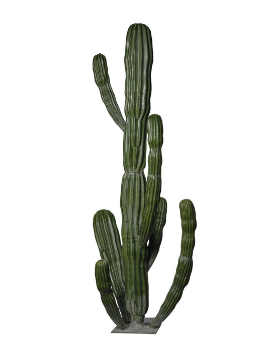 CACTUS LARGE