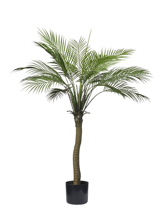 KWAI TREE